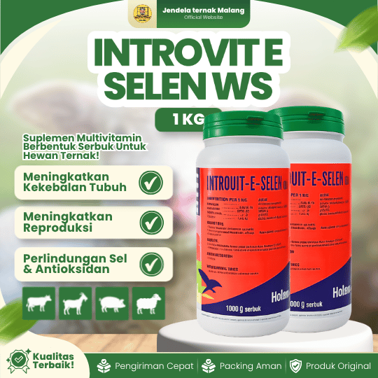 INTROVIT E SELEN WS 1 KG - Vit E Selenium Meningkatkan Fertilitas & Sistem Kekebalan Tubuh.