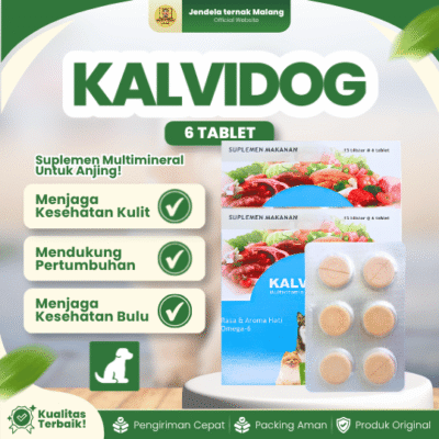 KALVIDOG 1 BLISTER 6 TABLET – Vitamin Anjing Penggemuk Nafsu Makan Tingkatkan Kesehatan & Bulu Lebat