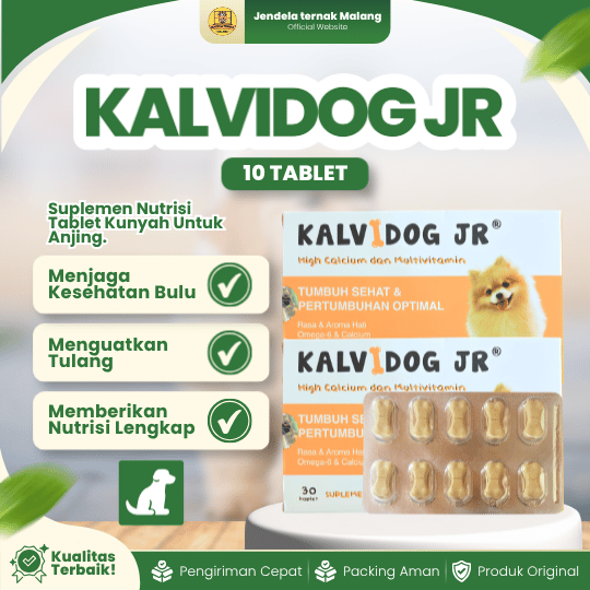 KALVIDOG JR 1 BLISTER (10 TABLET) - Multivitamin Untuk Meningkatkan Imunitas dan Daya Tahan Tubuh Puppy Anjing