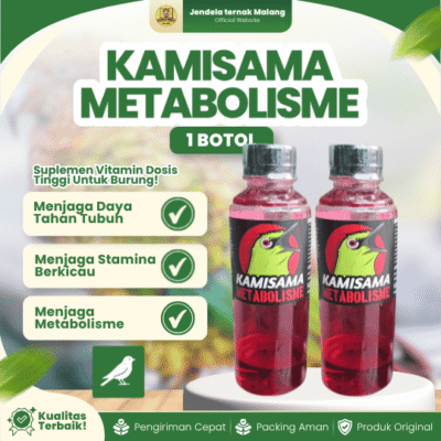 KAMISAMA METABOLISME – Vitamin Metabolisme Menjaga Stamina & Burung Makin Gacor.