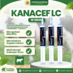KANACEF LC 1 PCS 10 GRAM - Untuk Masalah Mastitis Pada Hewan Ternak Sapi