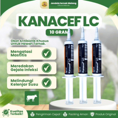 KANACEF LC 1 PCS 10 GRAM – Untuk Masalah Mastitis Pada Hewan Ternak Sapi