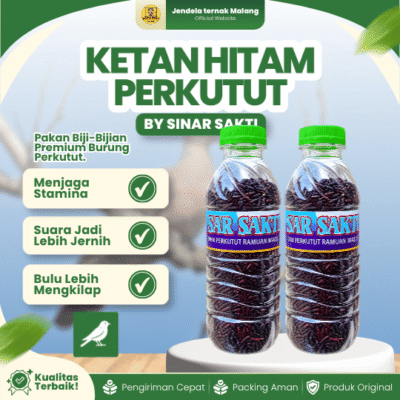 KETAN HITAM PERKUTUT BY SINAR SAKTI – Ramuan Madura khusus Menjaga Stamina & kesehatan Burung