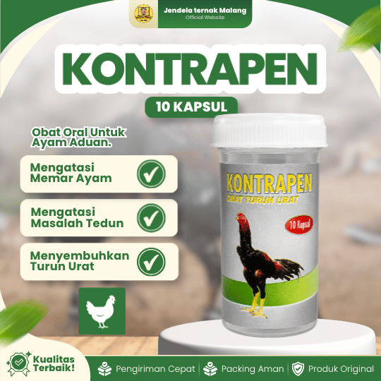 KONTRAPEN 10 KAPSUL RAID-ALL - Untuk Masalah Turun Urat Pada Ayam
