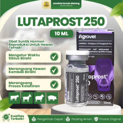 LUTAPROST 250 10 Ml – Untuk Masalah Reproduksi Pada Hewan Ternak.
