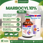 MARBOCYL 10% 100 ML - Untuk Pernafasan Pada Ternak Sapi, Babi, Kuda