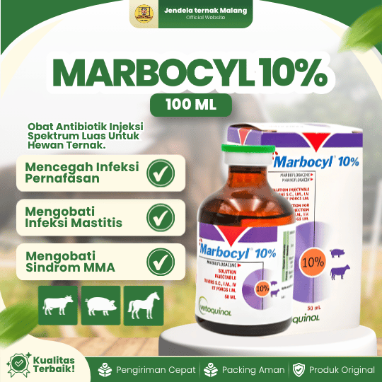 MARBOCYL 10% 100 ML - Untuk Pernafasan Pada Ternak Sapi, Babi, Kuda