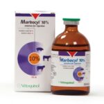 MARBOCYL 10% 100 ML - Untuk Pernafasan Pada Ternak Sapi, Babi, Kuda