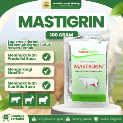 MASTIGRIN 100 GRAM – Suplemen Herbal Untuk Memperlancar Produksi Susu Hewan Ternak.