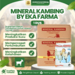 MINERAL KAMBING 1 KG 1 DUS ISI 20 KG – Mineral Untuk Mempercepat Pertumbuhan & Mencegah Kelumpuhan Kambing Domba