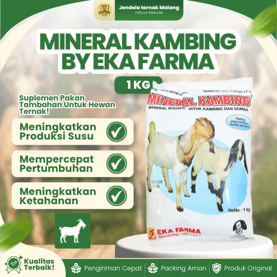 MINERAL KAMBING 1 KG BY EKA FARMA - Mineral Multivitamin & Penambah Nafsu Makan Penggemuk Ternak.