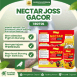 NECTAR JOSS GACOR - Nectar Premium Untuk Memperbagus Bulu & Burung Sering Berkicau.