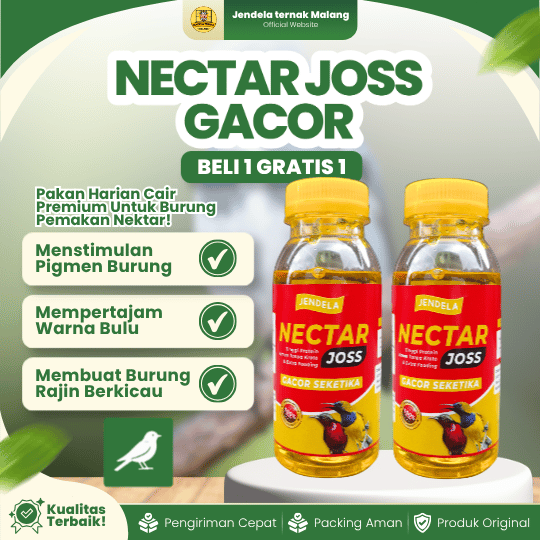 PROMO!!! NECTAR JOSS GACOR BELI 1 GRATIS 1 - Nektar PREMIUM Kolibri Konin Sogon