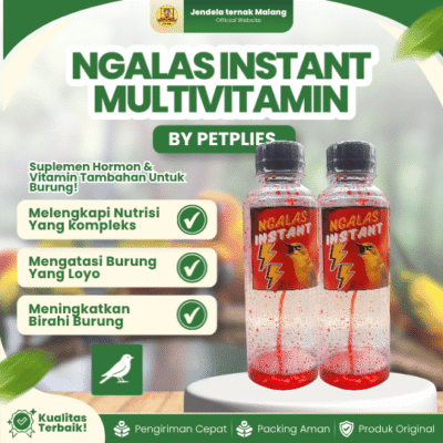 NGALAS INSTANT MULTIVITAMIN – Suplemen Untuk Burung Pleci & Lainnya.