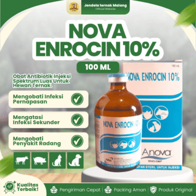NOVA ENROCIN 10% 100 ML – Untuk Saluran Pernafasan & Pencernaan Hewan.