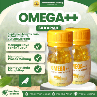 OMEGA++ ISI 60 KAPSUL – Minyak Ikan Untuk Merpati