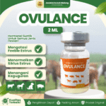 OVULANCE 2 ML – Untuk Memperbaiki Fungsi Reproduksi Pada Hewan Ternak.