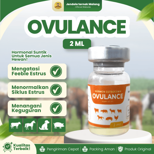 OVULANCE 2 ML - Untuk Memperbaiki Fungsi Reproduksi Pada Hewan Ternak.