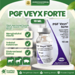PGF VEYX FORTE 10 ML – Untuk Mengatur Siklus & Masalah Reproduksi Hewan Ternak.