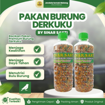 PAKAN BURUNG DERKUKU RAMUAN “PARA RAJA” BY SINAR SAKTI – Agar Tetap Sehat, Aktif, Dan Rajin Berkicau