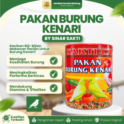 PAKAN BURUNG KENARI BY SINAR SAKTI – Untuk Memenuhi Kebutuhan Harian Burung