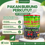 PAKAN BURUNG PERKUTUT BY SINAR SAKTI – Untuk Memenuhi Kebutuhan Harian Burung