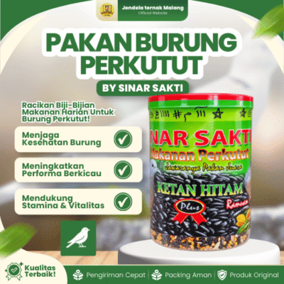 PAKAN BURUNG PERKUTUT BY SINAR SAKTI – Untuk Memenuhi Kebutuhan Harian Burung