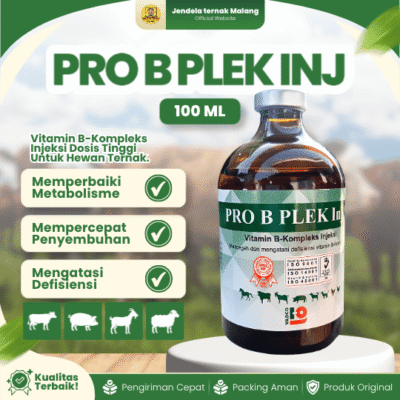 PRO B PLEK INJ 100 ML – Vitamin B kompleks Untuk Hewan Ternak.