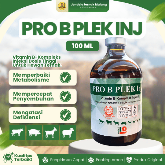 PRO B PLEK INJ 100 ML - Vitamin B kompleks Untuk Hewan Ternak.