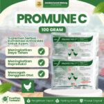 PROMUNE C 100 GRAM VADCO - Vitamin C, E & Selenium Untuk Meningkatkan Daya Tahan Unggas Ayam
