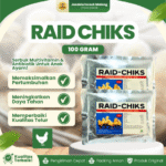 RAID CHIKS 100 GRAM RAID-ALL - Multivitamin Serbuk Untuk Anak Ayam