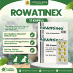 ROWATINEX ISI 10 KAPSUL – Untuk Batu Ginjal Pada Hewan Kesayangan.