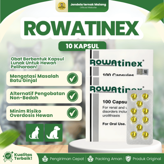 ROWATINEX ISI 10 KAPSUL - Untuk Batu Ginjal Pada Hewan Kesayangan.