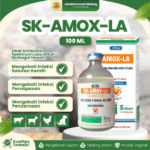 SK-AMOX-LA 100 ML – Untuk Mengatasi Anti Pencernaan Pada Hewan Ternak Like Betamox.