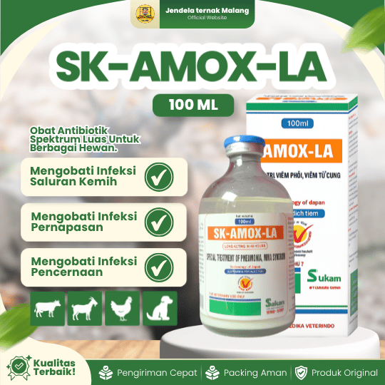 SK-AMOX-LA 100 ML - Untuk Mengatasi Anti Pencernaan Pada Hewan Ternak Like Betamox.