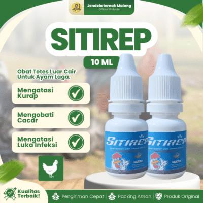 SITIREP 10 ML – Untuk Mengatasi Segala Masalah Kulit Sampai Akar Pada Ayam Laga.