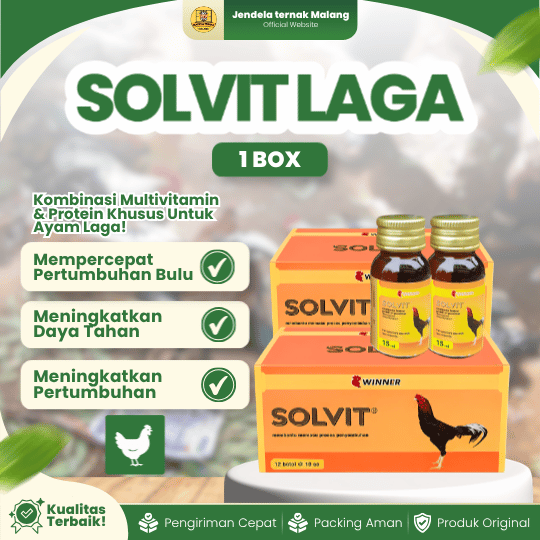SOLVIT WINNER MEDION 1 BOX (12 BOTOL) - Vitamin Untuk Mempercepat Pertumbuhan Bulu & Daya Tahan Tubuh Ayam