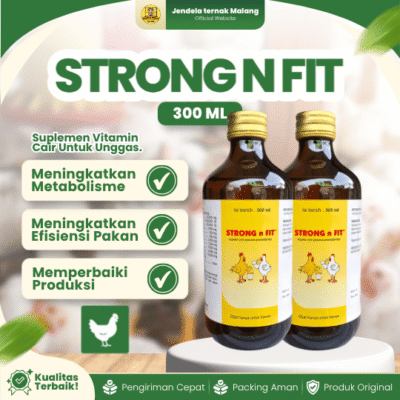 STRONG N FIT 300 ML – Pemacu Produktivitas Produksi Telur, Berat Badan, FCR & Daya Tahan Ayam.