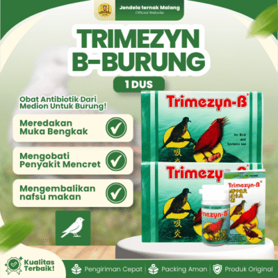 TRIMEZYN B BURUNG 1 DUS (12 BOTOL) – Obat Pernapasan Burung, Sakit Sesak Pernafasan, Muka Bengkak