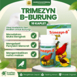 TRIMEZYN-B BURUNG ISI 10 KAPLET – Mengatasi Pernapasan,Sakit, Sesak, Stress & Bengkak Pada Burung