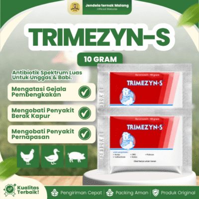 TRIMEZYN-S 10 GRAM – Atasi Korisa CRD Kolera Pulorum Pilek Pada Unggas Ayam Burung