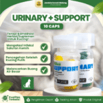 URINARY 10 CAPS + SUPPORT 10 CAPS – Untuk Mengatasi Saluran Kemih Pada Kucing.