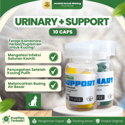 URINARY 10 CAPS + SUPPORT 10 CAPS – Untuk Mengatasi Saluran Kemih Pada Kucing.