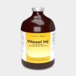 VITESEL INJ 100 ML - Vitamin E Selenium untuk Kekebalan Daya Tahan Ternak