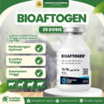 BIOAFTOGEN 25 DOSIS – Vaksin PMK Tanpa Reaksi Pasca Vaksinasi Pada Hewan Ternak.