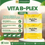 VITA B PLEX BOLUS ECER BY MEDION - Meningkatkan Selera Makan & Pertumbuhan Hewan Ternak.