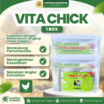 VITA CHICKS 50 GRAM 1 BOX (10 PCS) MEDION – Vitamin Pertumbuhan Anak Ayam Burung