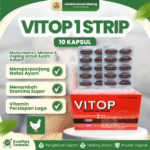VITOP 1 STRIP 10 KAPSUL – Multivitamin Ayam Laga Penambah Stamina.