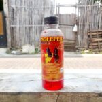 NGLEPER INSTANT BY PETPLIES.IND - Nectar, Multivitamin, Doping Pada Burung Sogon, Kolibri Dll.