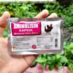 AMINOLISIN 10 KAPSUL - Vitamin Meningkatkan Selera Makan Pada Ayam.